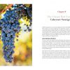 Varietal Wines by James Halliday - Image 3