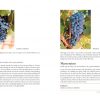 Varietal Wines by James Halliday - Image 4