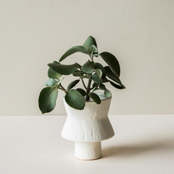 Sascha Vase Off White Small